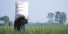 Dapat Tambahan Kuota Pupuk Subsidi, Pemkab OKI Optimis Produktivitas Pertanian Meningkat