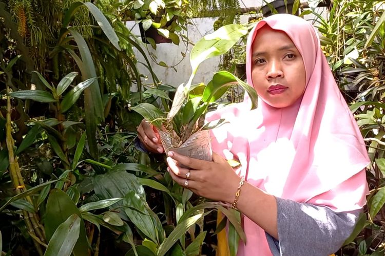 Dwi Purwaningsih saat merawat anggrek miliknya di rumahnya di kawasan Desa Giyombong, Bruno, Purworejo, Jawa Tengah pada Sabtu (23/7/2022). Ia membudidayakan dan menjual anggrek di rumahnya.