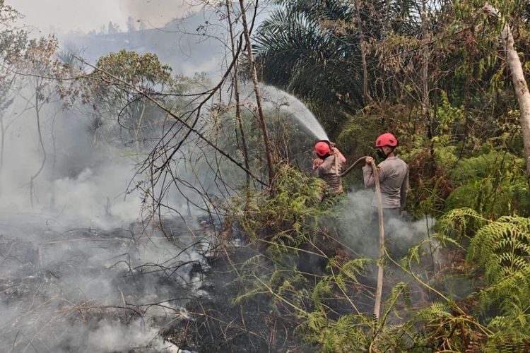 Hotspot Paser Melonjak 135 Titik dalam Sehari, Kaltim Siapkan Dana Darurat Rp 5 Miliar