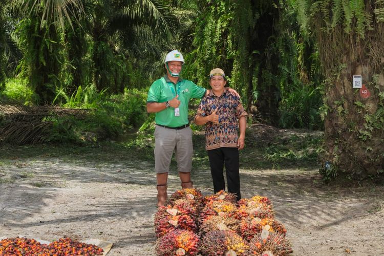 Amran Sebut 130 Perusahaan Sawit Belum Naikkan Harga TBS