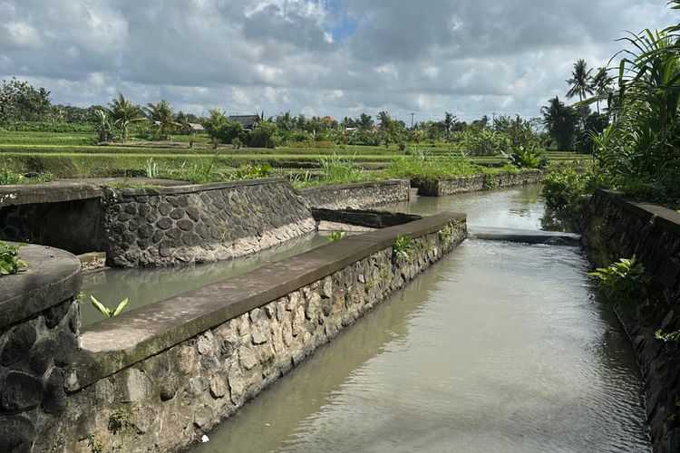 Ilustrasi jaringan irigasi