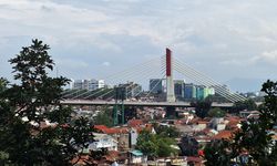 Penghijauan di Bandung Tak Cukup dengan Tanam Pohon, Harus Terhubung Jadi Koridor Hijau