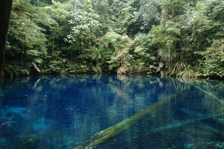 Telaga Samares, telaga biru di Kabupaten Biak Numfor.