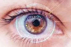 Dosen Universitas Pertamina Ungkap Risiko Jual Data Biometrik Retina Mata 