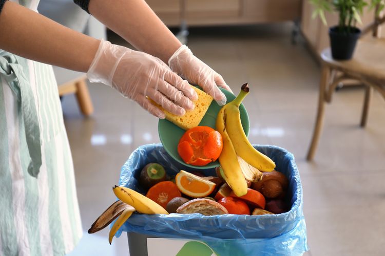 ilustrasi food waste. 