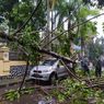 Hujan Disertai Angin Kencang di Depok, Pohon Tumbang Timpa Mobil di Depan Gedung DPRD