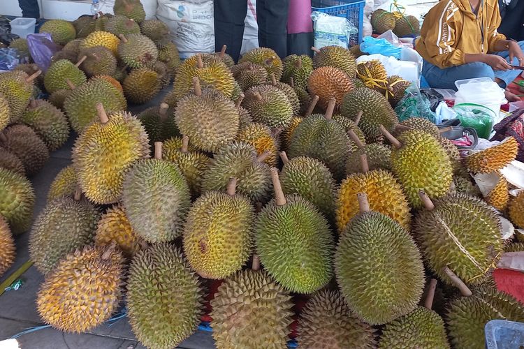 Hasil durian saat penen raya di Kecamatan Kaligesing Kabupaten Purworejo. Durian melimpah dan dijual hingga keluar kota 
