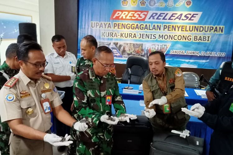 Kementerian Kelautan dan Perikanan (KKP) dan TNI Angkatan Laut (AL) mengagalkan penyeludupan 5.632 labi-labi moncong babi di Bandara Juanda, Surabaya.