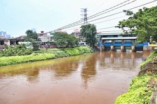 Rencana Naturalisasi Sungai DKI yang Dipertanyakan...