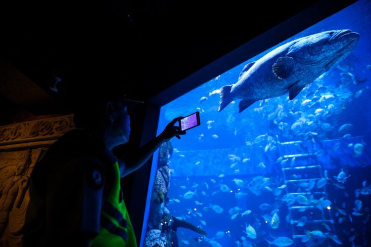 Pengunjung mengisi liburan dengan berkunjung ke Jakarta Aquarium di Neo SOHO Mall, Jakarta Barat, Selasa (16/10/2018). Menteri Kelautan dan Perikanan (KKP), Susi Pudjiastuti meresmikan Jakarta Aquarium yang memiliki konsep edutainment sekaligus dapat menjadi sebuah destinasi wisata baru bagi masyarakat.