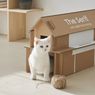 Kurangi Limbah, Samsung Desain Kardus Rumah Kucing untuk Produk TV