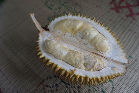 Desa Ujungberung, Pusat Durian Perwira Sinapeul khas Majalengka 