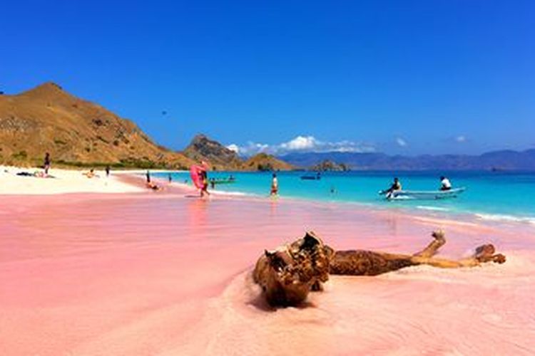 Ilustrasi pantai pasir pink.