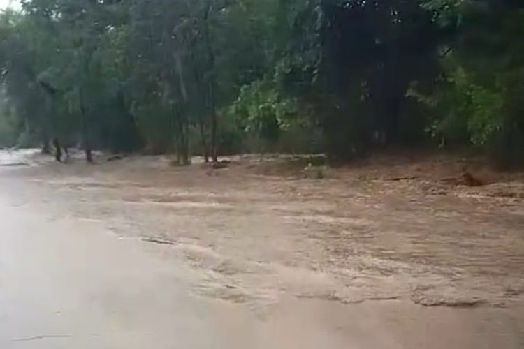 Foto: Jalan Nasional Pantura di Hutan Baluran Situbondo mengalami limpasan air dari sungai yang membuat jalan tergenang. Namun kendaraan mobil dan truk masih bisa melintas pada Minggu (14/12/2025). 