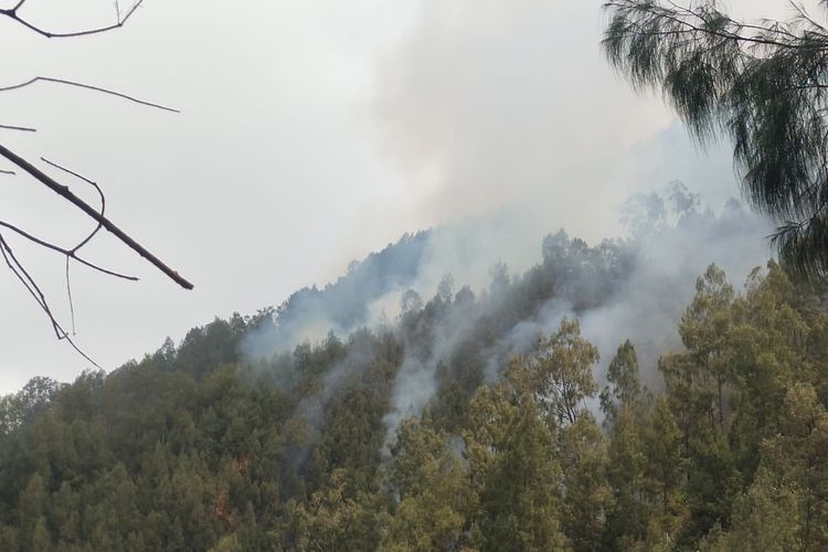 Titik Api Kembali Muncul di Gunung Buthak, Petugas Lakukan 7 Kali Water Bombing
