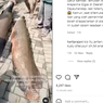 Video Viral Ikan Arapaima Ditemukan Usai Banjir di Garut, Ikan Apa Itu?