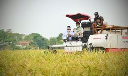 Kunjungi Karawang, Mentan Tegaskan Kebutuhan Pangan Rakyat Indonesia Aman