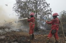 KLHK Klaim Emisi Karhutla 5 Tahun Terakhir Turun Hingga 70 Persen