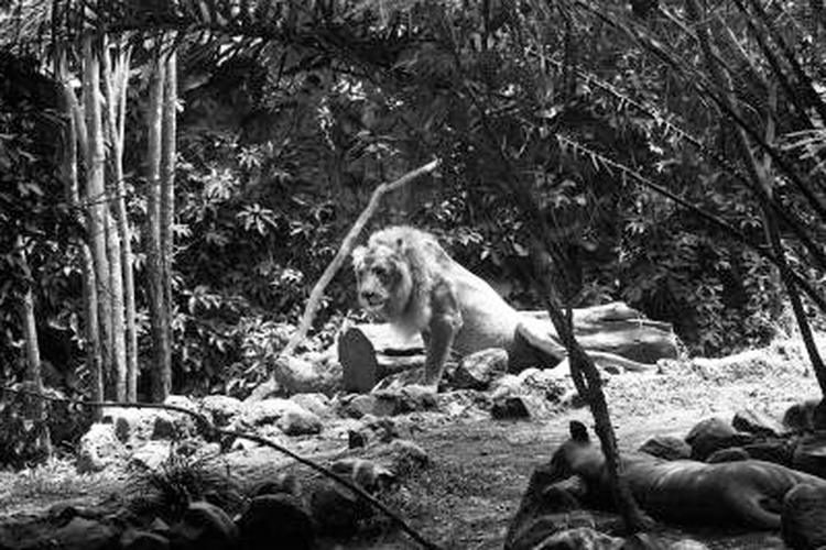 Kebun Binatang Ragunan, 5Oktober 1976.