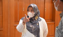 Wakil Ketua Komisi IX DPR Usulkan Penambahan Pintu Masuk Bandara untuk PMI