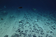 Studi Temukan Logam di Laut Dalam Hasilkan Oksigen