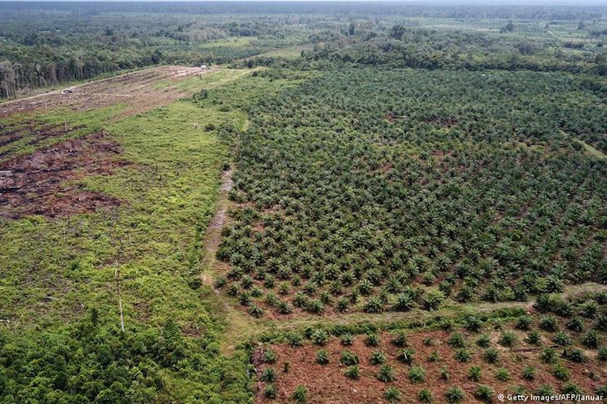 Indonesia started a case against the EU at the WTO last year over Brussels' plans to phase out palm oil imports