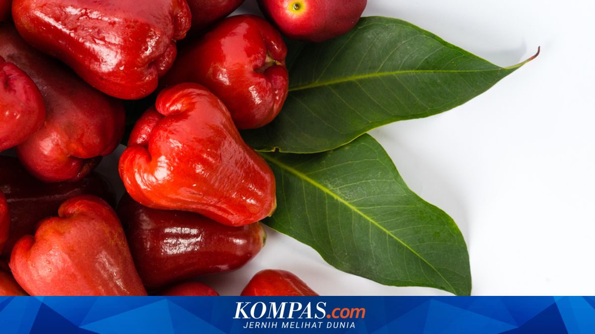 Mengenal Jenis Jambu di Indonesia dan Musimnya