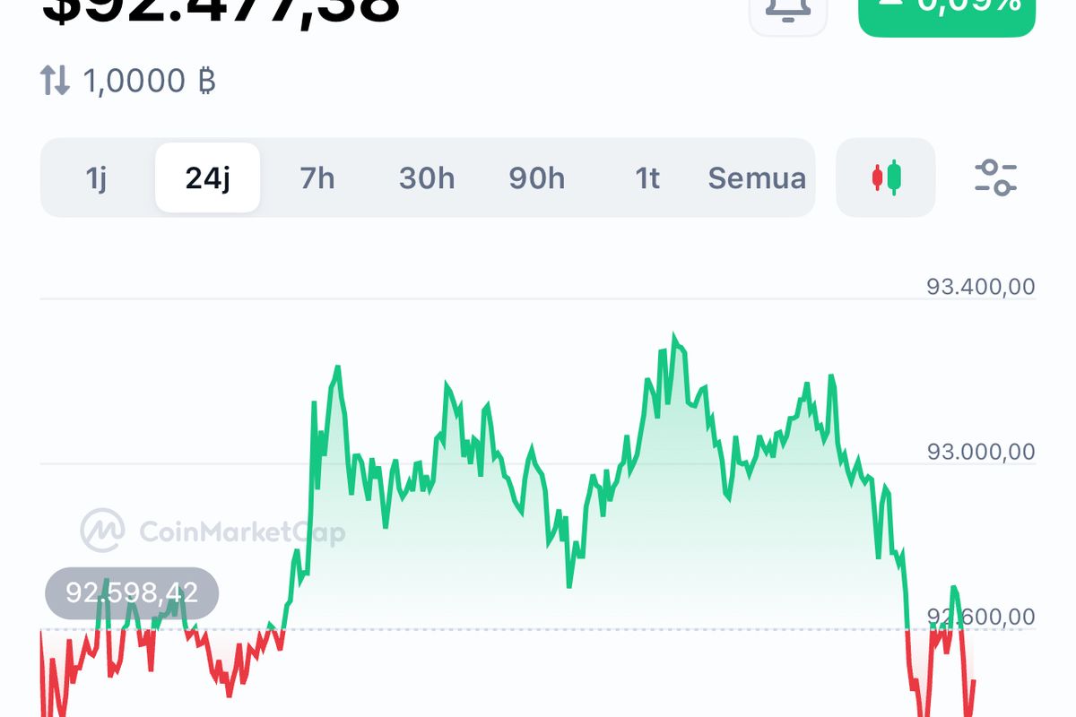 Harga Bitcoin Fluktuatif 24 Jam Terakhir, Naik Tipis ke Posisi 92.477,38  Dollar AS