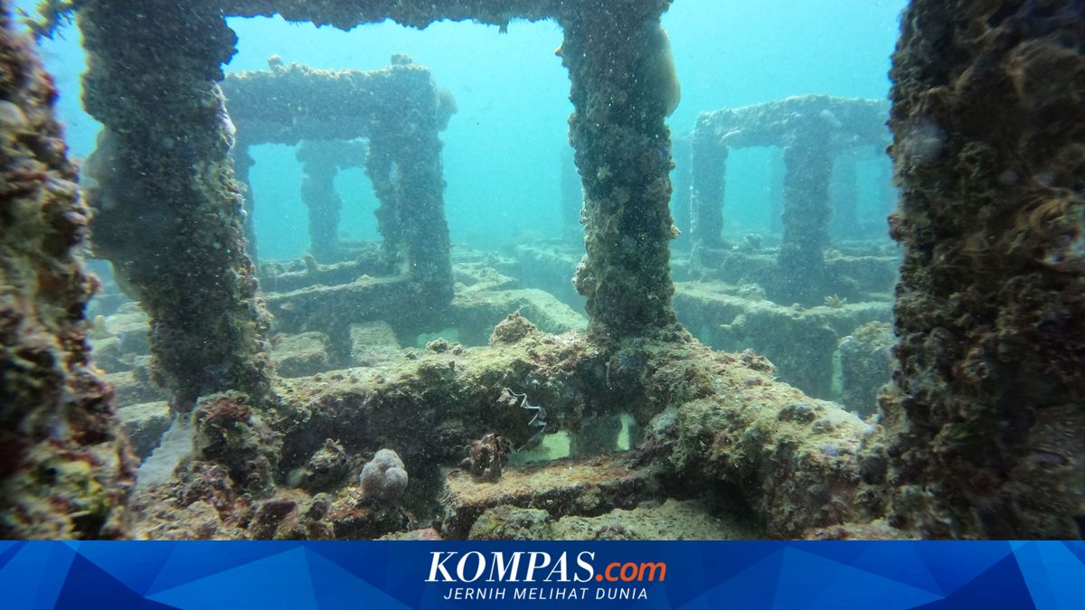 Pupuk Kaltim Bawa Pengalaman Restorasi Terumbu Karang ke Forum Dunia