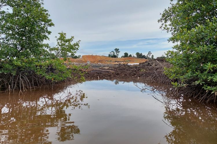Terancamnya hutan mangrove di Balikpapan akibat pembangunan smelter nikel di wilayah Kawasan Industri Kariangau (KIK)