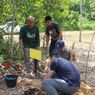 Belantara Foundation Gandeng Perusahaan Jepang Tanam Pohon di Hutan Riau