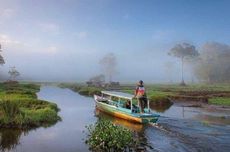 Rawa Bento di Jambi: Daya Tarik, Biaya, dan Rute