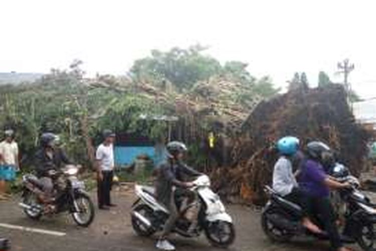 BPBD Sleman, BPBD DIY, SAR, Relawan, Anggota Kepolisian dan TNI masih bahu- membahu mengevakuasi pohon beringin yang roboh di Jalan Kebon Agung, Krongahan, Gamping, Sleman