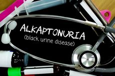 Alkaptonuria