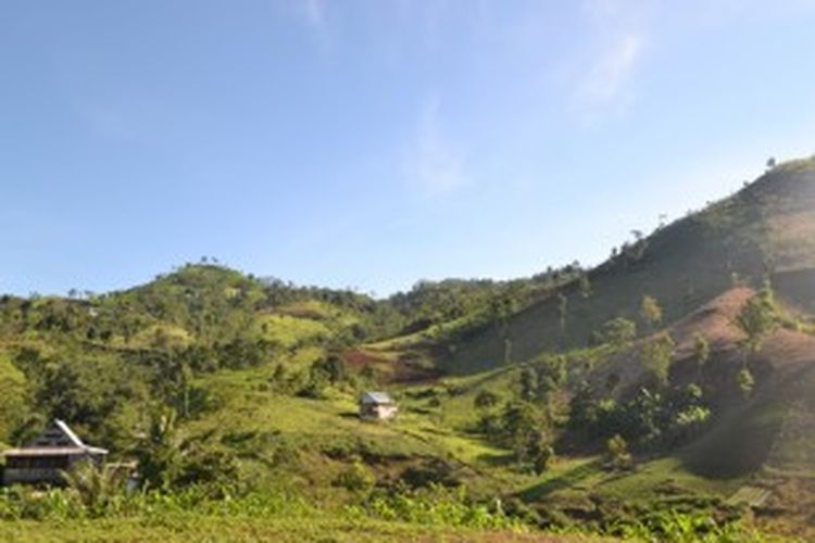 Topografi perbukitan di desa Kayu Loe Kecamatan Bantaeng, Kabupaten Bantaeng, Sulawesi Selatan
