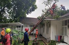 Rumah Dinas Kapolresta Bogor Kota Rusak Tertimpa Pohon Tumbang