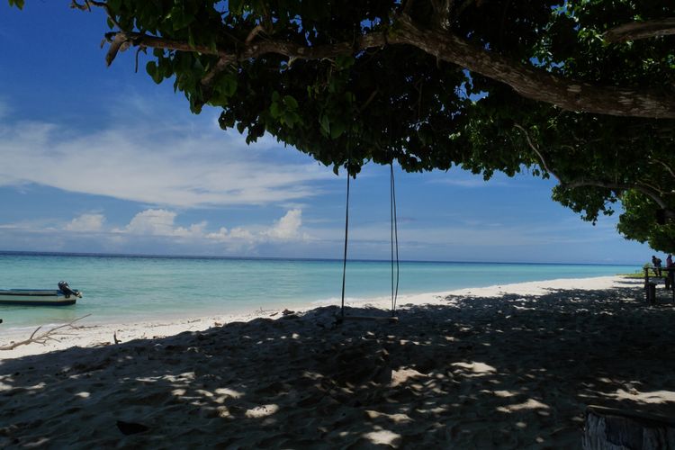 Ayunan Pohon di Tanjung Waka salah satu destinasi wisata yang ada di Desa Fatkayon, Kecamatan Sulabesi Timur, Pulau Sulabesi, Kepulauan Sula, Maluku Utara, Jumat (13/4/2018).