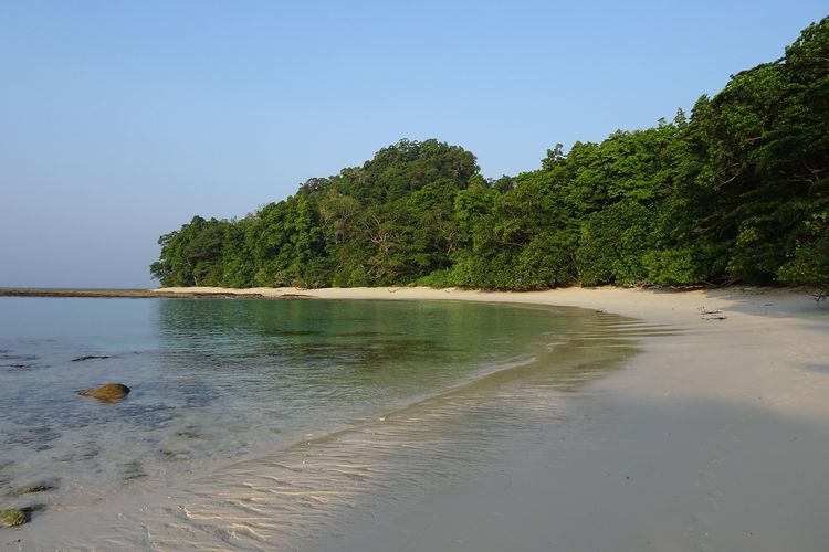 Pantai Radhanagar atau Radhanagar Beach di India yang masuk daftar pantai terbaik di dunia 2023 versi TripAdvisor.