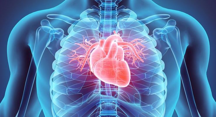 Ada Kardiomegali dan Asam Lambung, Bagaimana agar Tidak Henti Jantung?