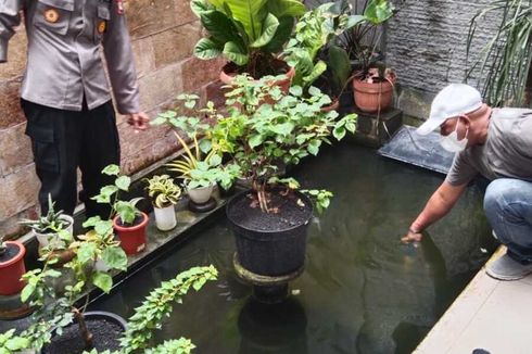 Ditinggal Mencuci Piring, Bayi Tenggelam di Kolam Ikan Hias dan Tewas