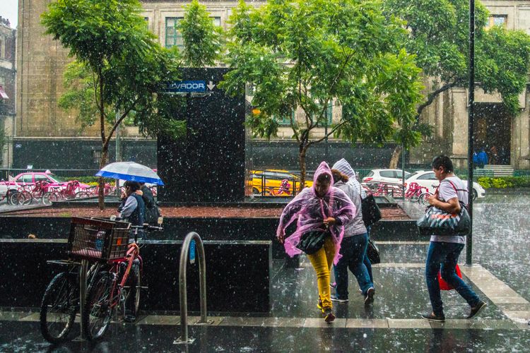 BMKG Ingatkan Potensi Hujan dan Angin Kencang hingga 17 Agustus, Ini Wilayahnya