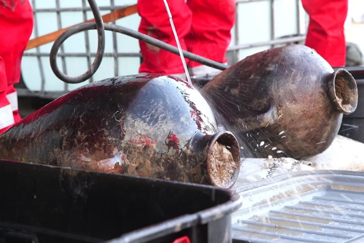 Temuan Bangkai Kapal Karam Tertua di Dunia, Seperti Apa?