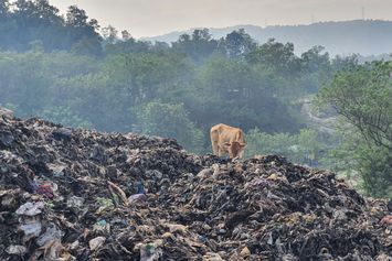 Dampak Limbah, Warga Menutup Paksa TPST Piyungan 