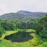 Taman Nasional Batang Gadis, Sejarah dan Paket Wisata di Dalamnya