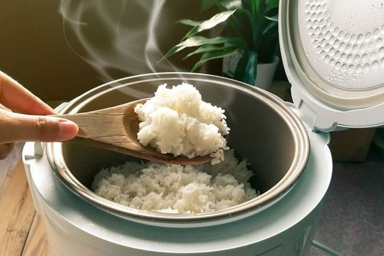 Ilustrasi rice cooker.