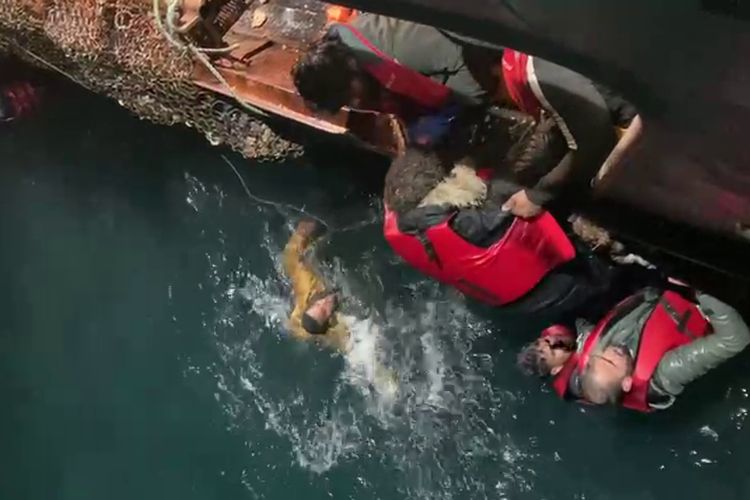 Empat orang tewas dan lebih dari puluhan imigran diselamatkan dari perairan membeku, setelah peringatan darurat putus asa memohon bantuan dari kapal karet yang terbalik di Selat Inggris.
