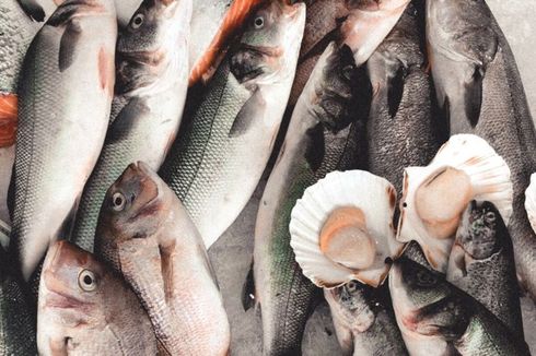 Bagaimana Mengetahui Ikan Segar Tanpa Formalin? Ini Penjelasan Ahli