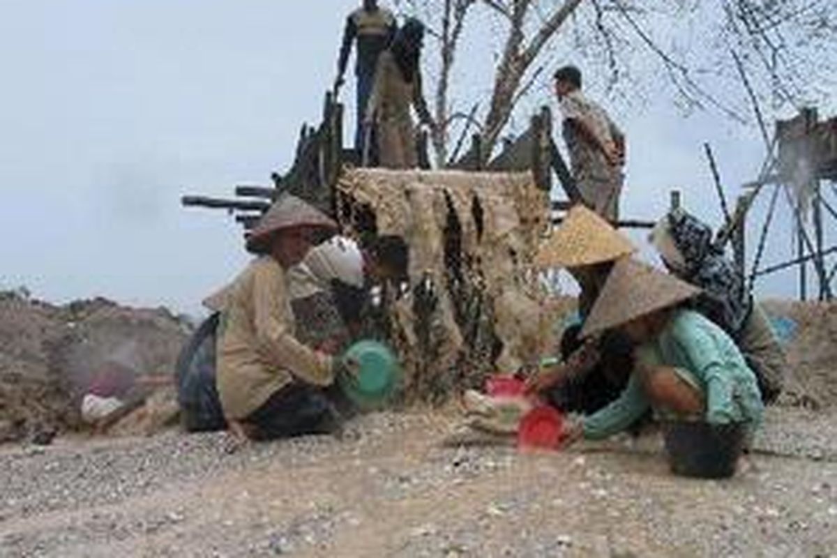 Beberapa pekerja menambang timah di Bukit Mangkol, Kota Pangkal Pinang, Provinsi Kepulauan Bangka-Belitung.