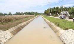 Rehabilitasi Irigasi, Harapan Petani Bertahan di Musim Kemarau