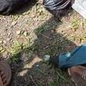 Mayat Dalam Karung yang Ditemukan di Curug Arca Bogor Diduga Korban Pembunuh, Leher Dijerat Kabel Ties